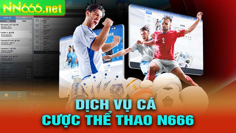 Dịch vụ cá cược thể thao n666